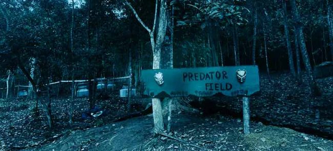 Paintball Taman Botani